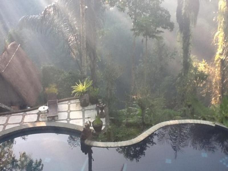 Abisha Mystique Villa Ubud Eksteriør billede